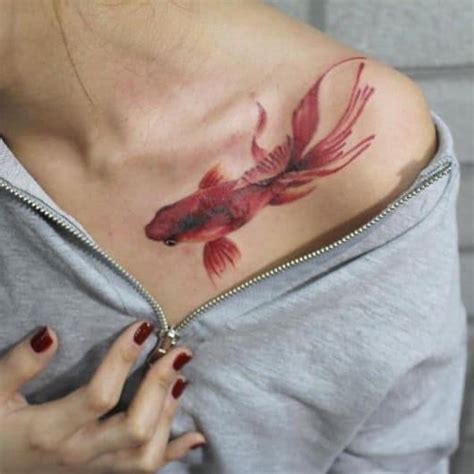 Tatuagem peixe beta feminina 